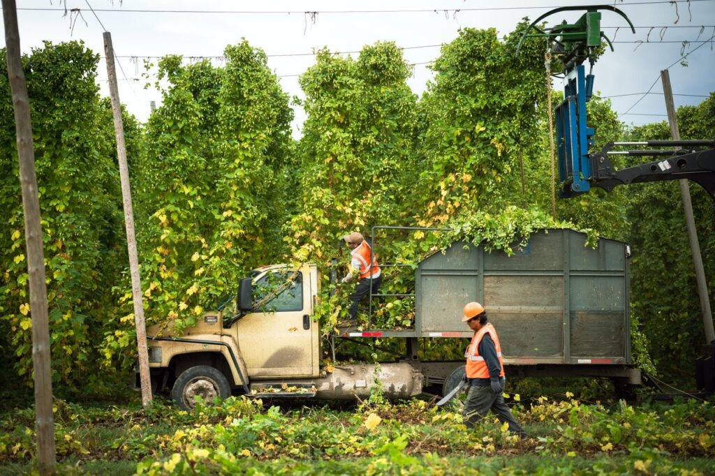 yakima-4 - junglecity.com Workers in orange safety vests loading felled branches from a truck in a tree-filled lot, with a crane arm overhead and a metal trailer behind the cab.