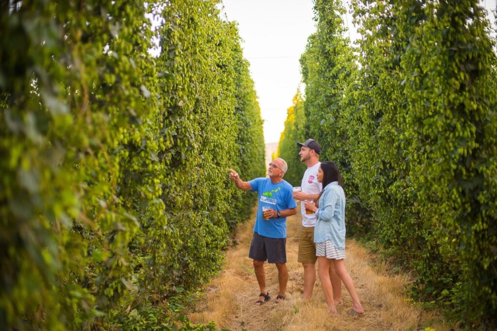 Group of three people in a vineyard path, one pointing at vines while holding a cup, others watching and chatting.