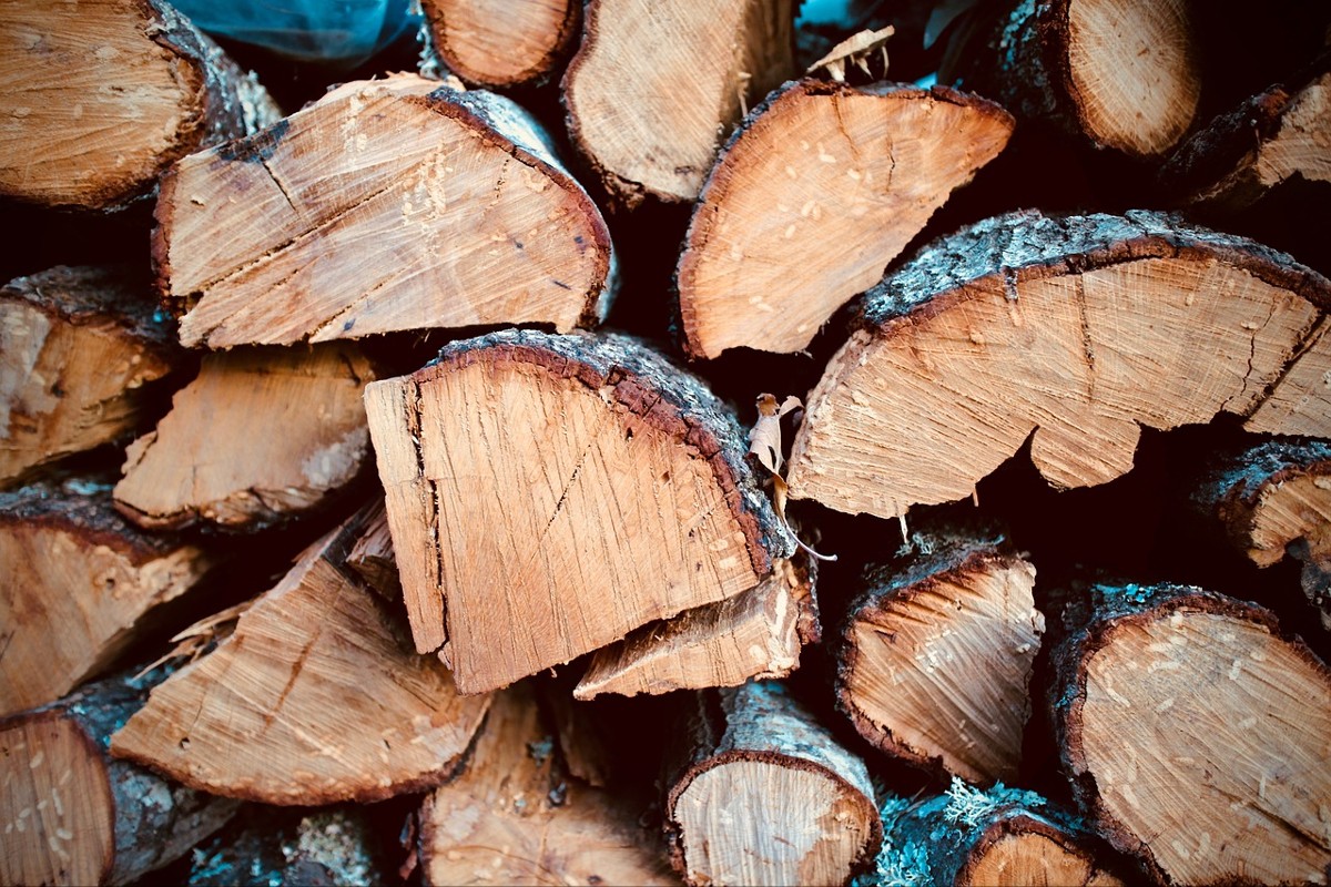 firewood-2