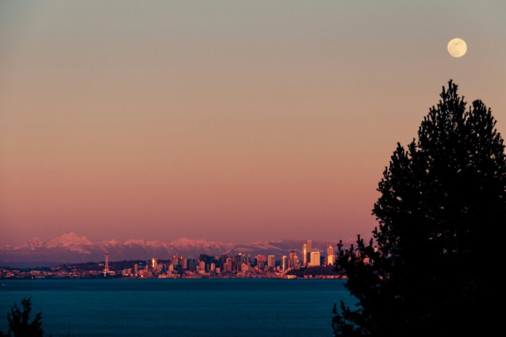 full-moon-7 - junglecity.com Sunset over a city skyline across a calm bay, with a full moon visible near a silhouetted tree on the right.