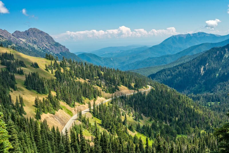hurricane-ridge-6