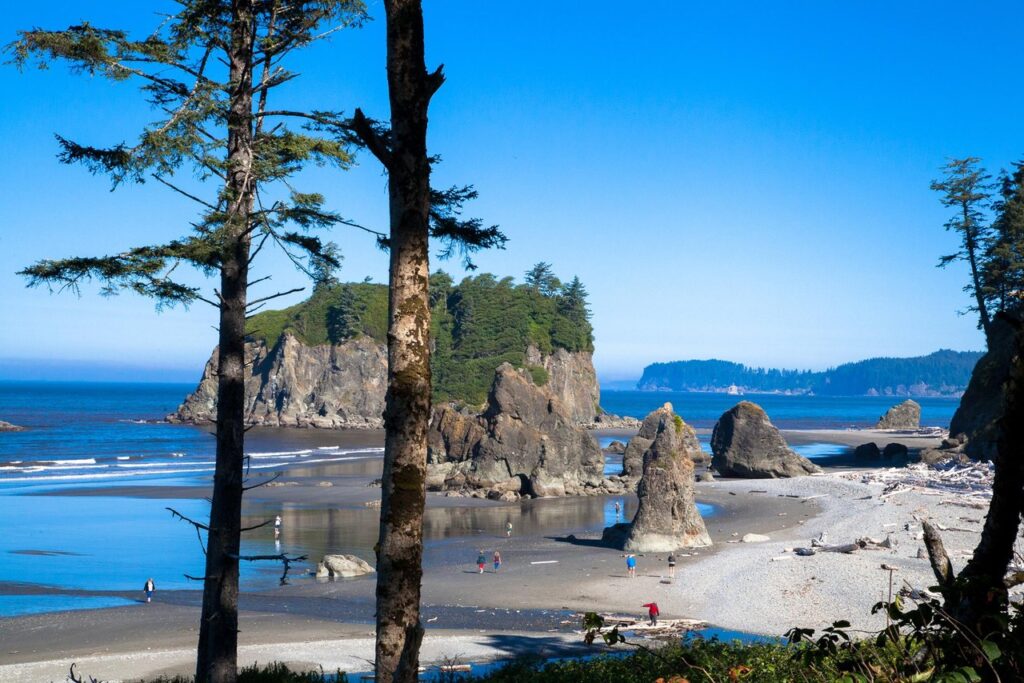 Beached coastline with tall rock stacks, forested headland, and people walking along the wet sand under a bright blue sky.