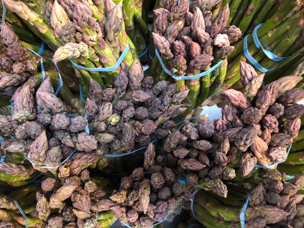asparagus-2 - junglecity.com