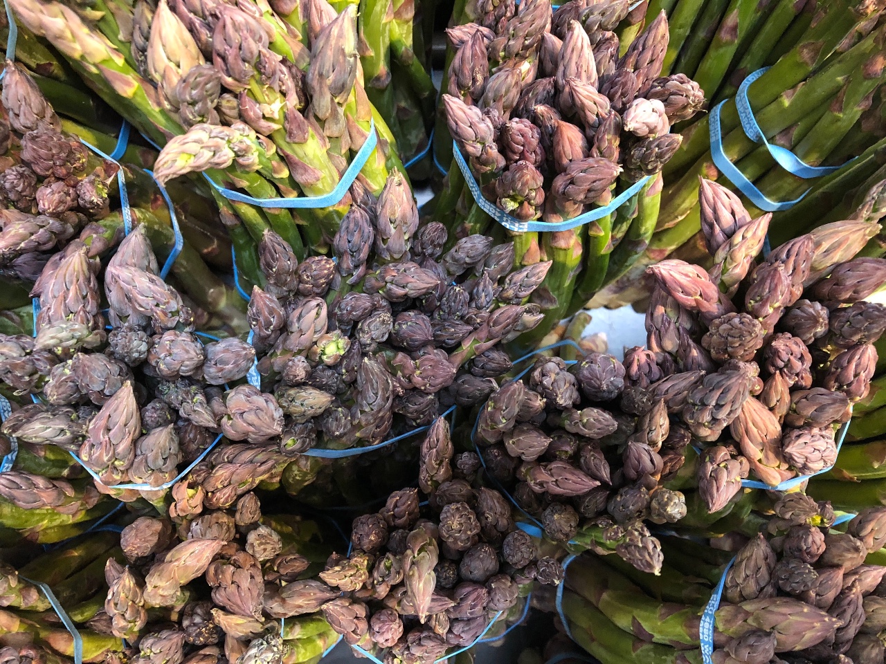 asparagus-2