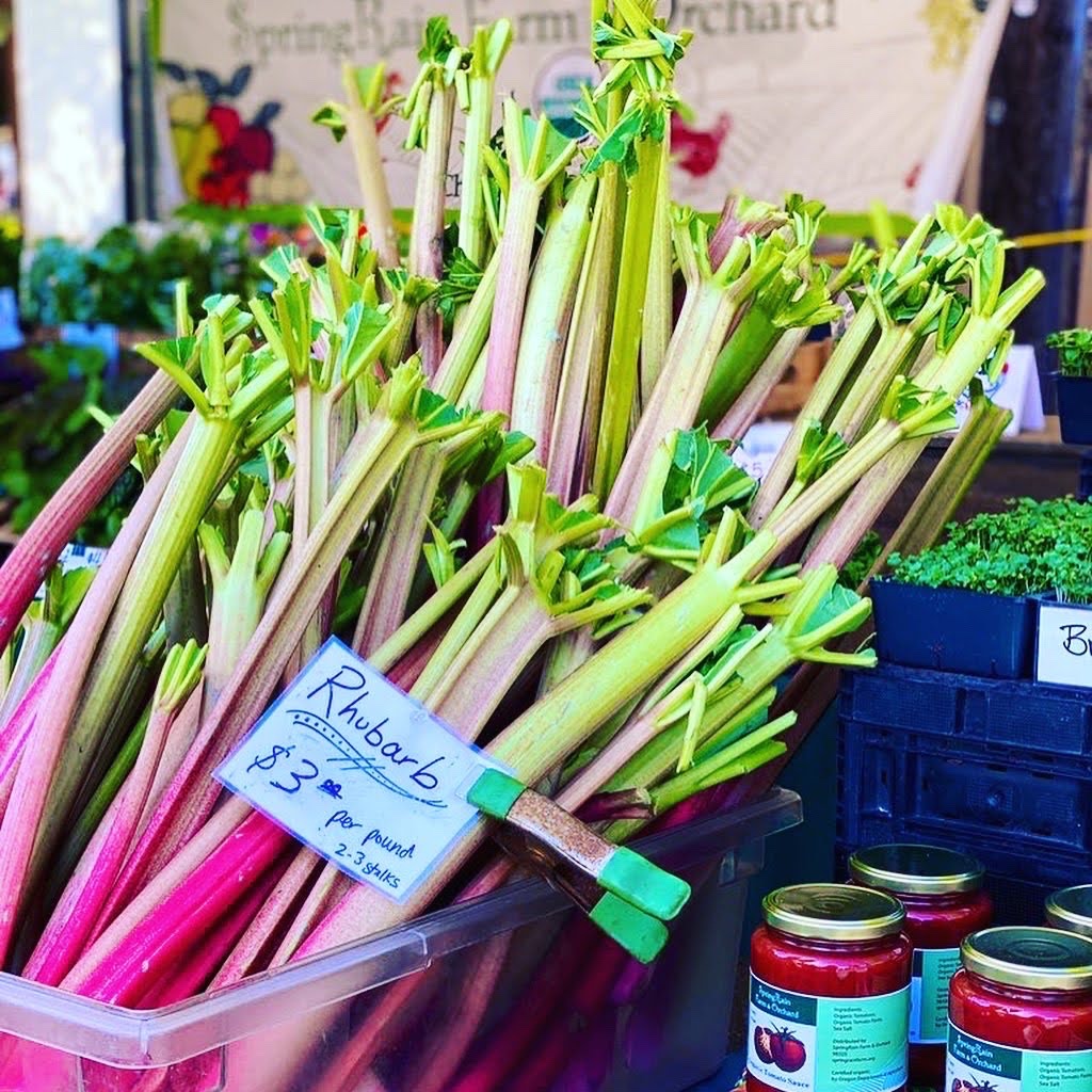 rhubarb - junglecity.com