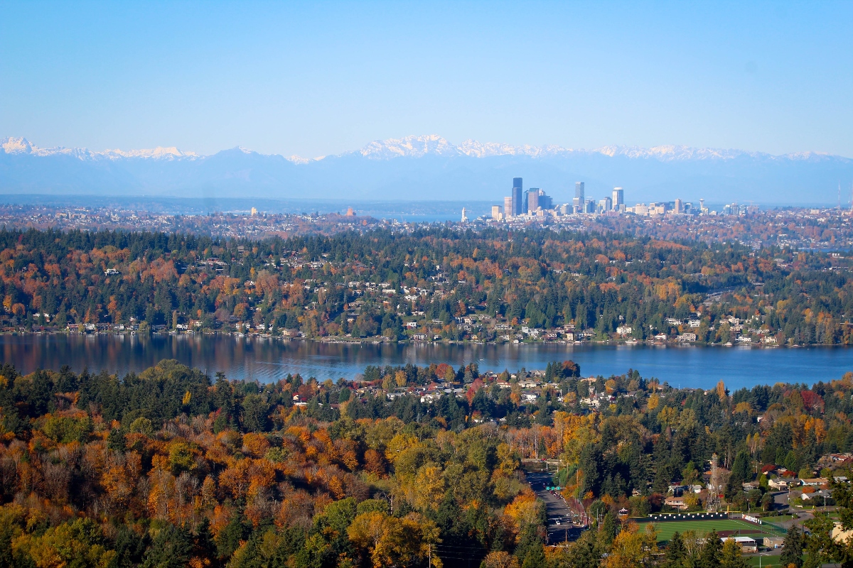 bellevue-autumn-1