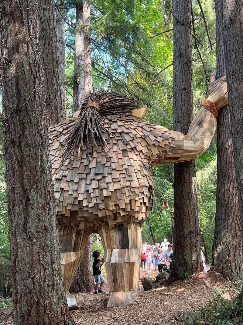 issaquah-troll-1