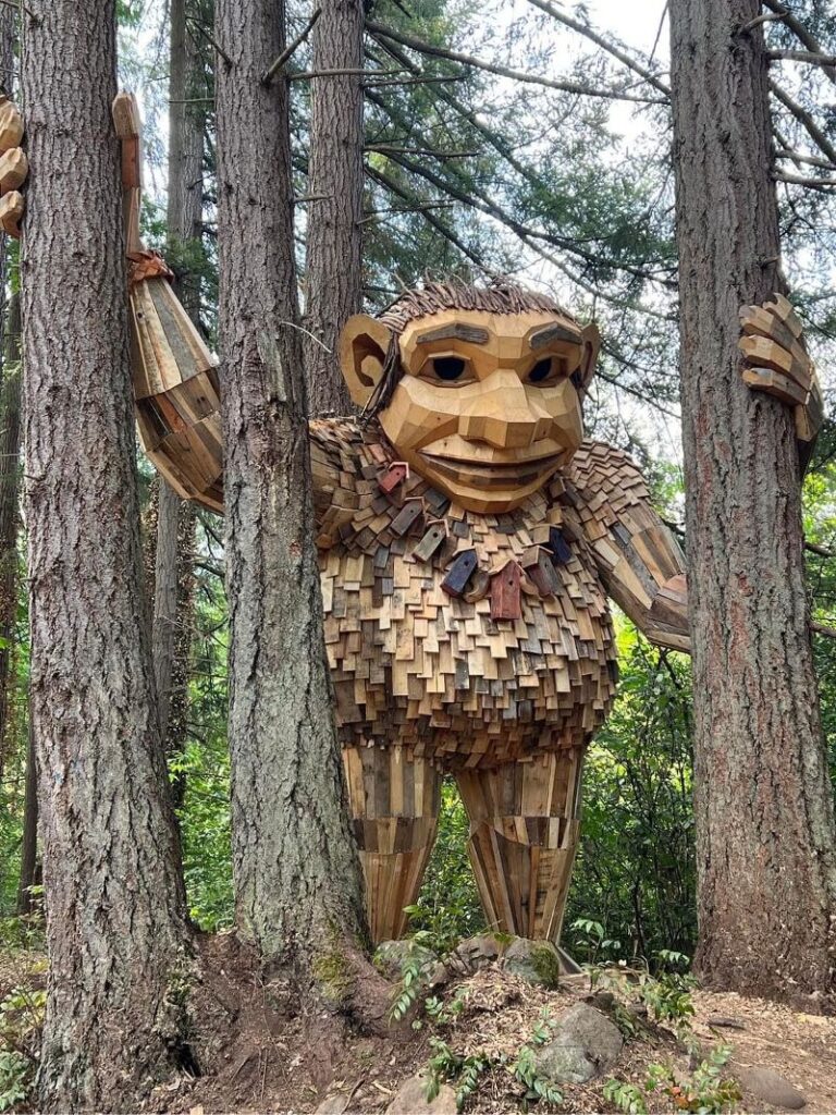 issaquah-troll-2 - junglecity.com