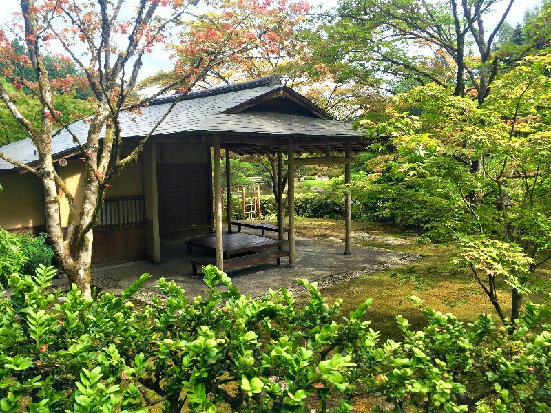 seattle-japanese-garden-13