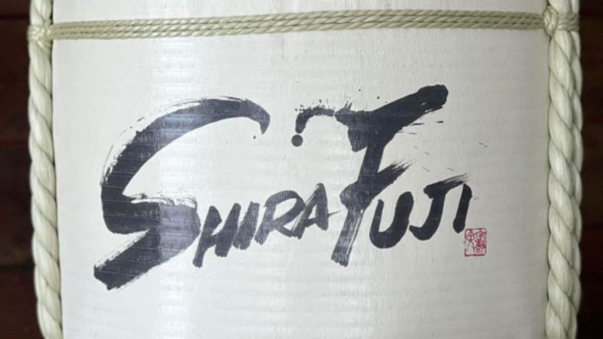 shirafuji-3