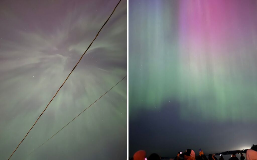 aurora-05-2024-2 - junglecity.com