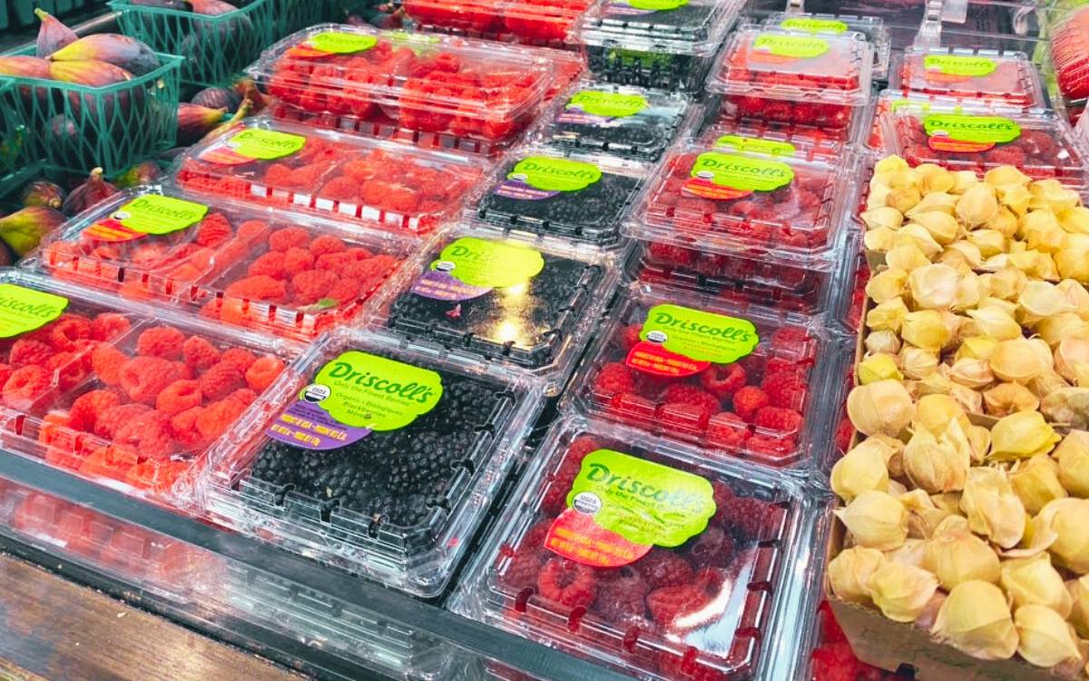 grocery-1
