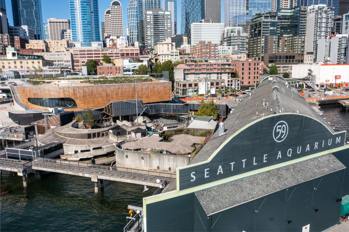 seattle-aquarium-ocean-pavilion-6