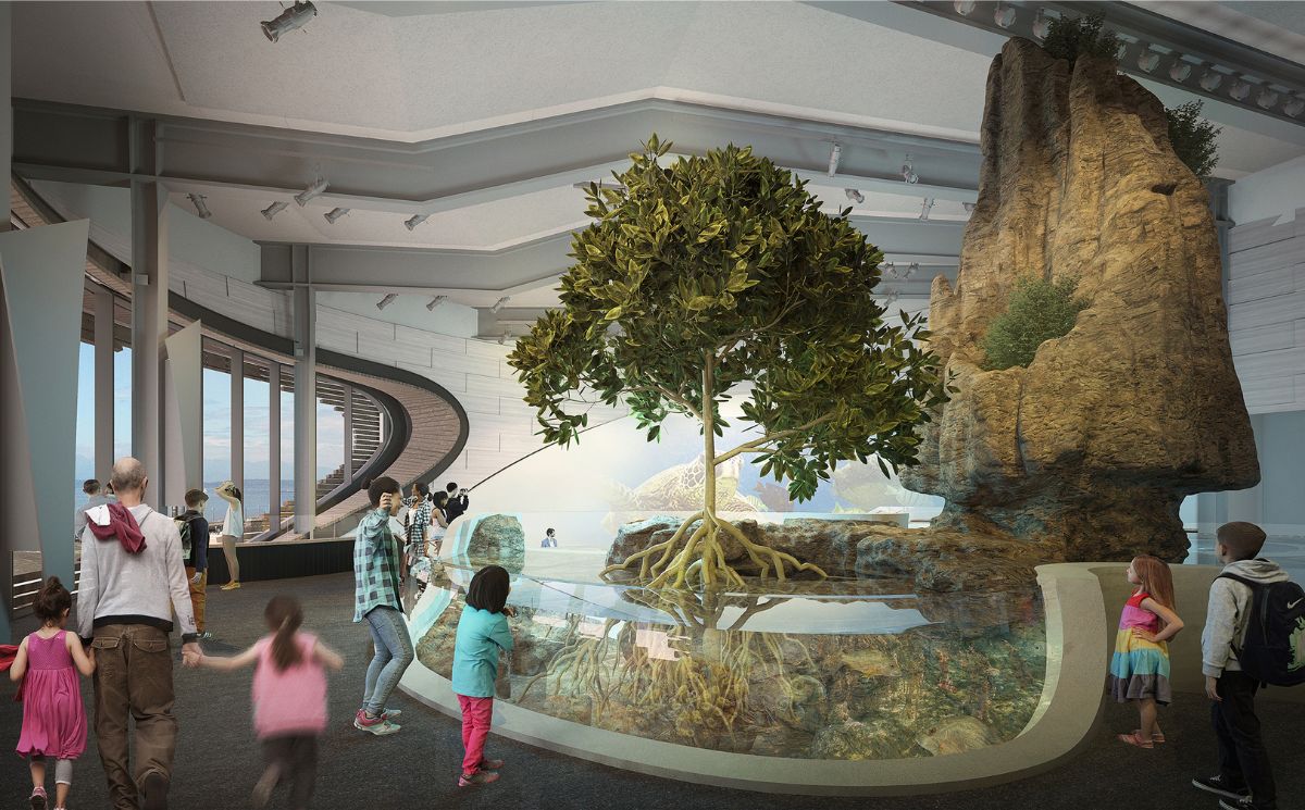 seattle-aquarium-ocean-pavilion-9