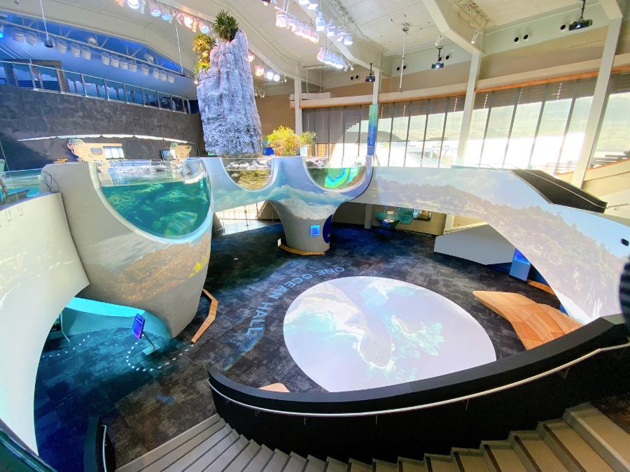 ocean-pavilion-19 - junglecity.com