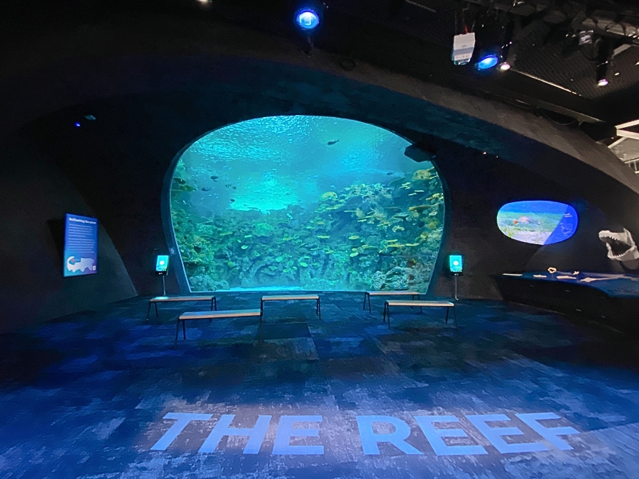 ocean-pavilion-20