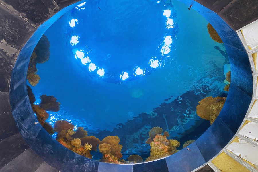 ocean-pavilion-8 - junglecity.com
