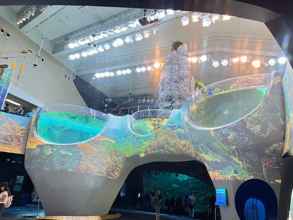 ocean-pavilion-11 - junglecity.com