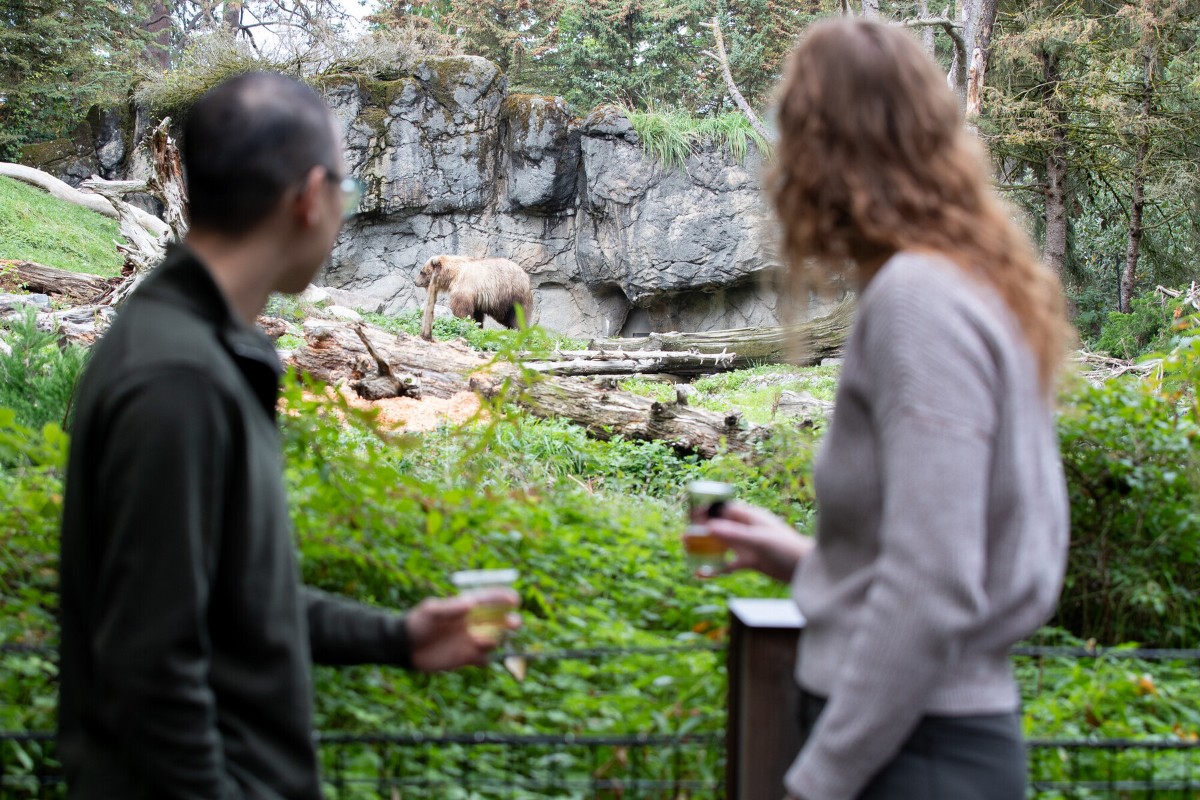 woodland-park-zoo-oktobearfest-1
