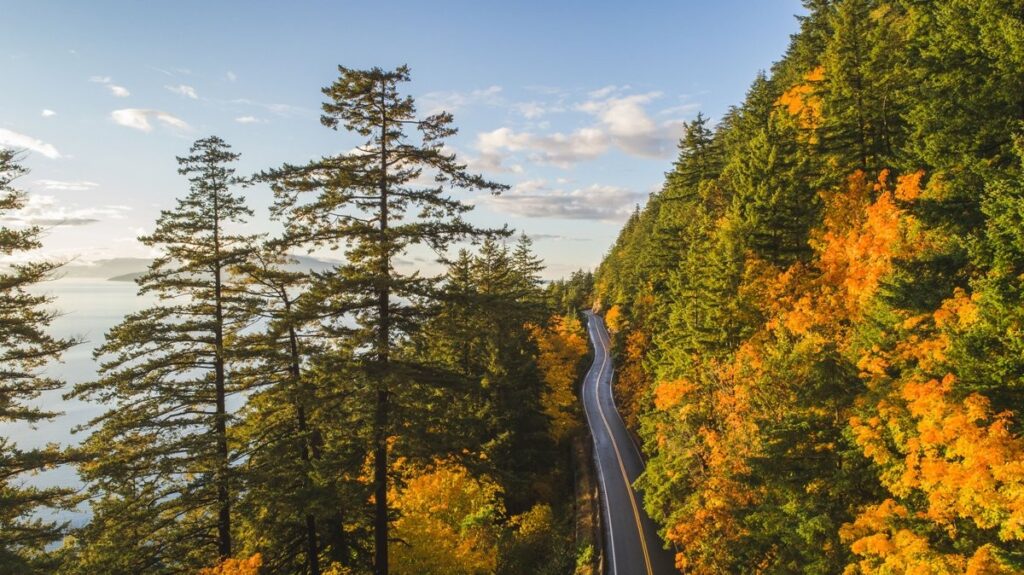 ワシントン州の秋の絶景スポット10選 - junglecity.com シアトル日本語