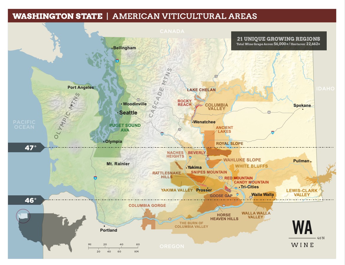 ava-in-washington-state-2024