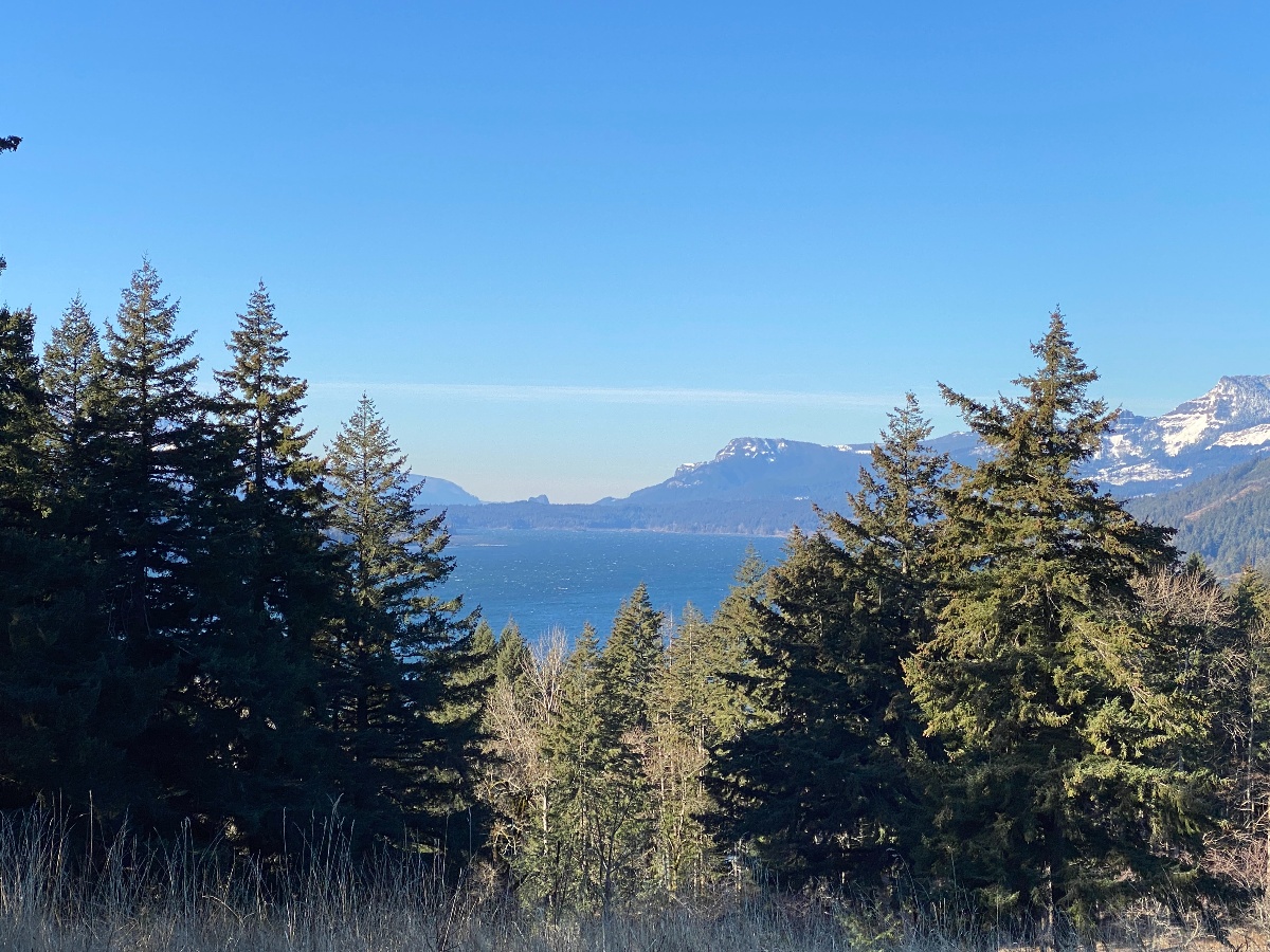 tenzen-10 - junglecity.com