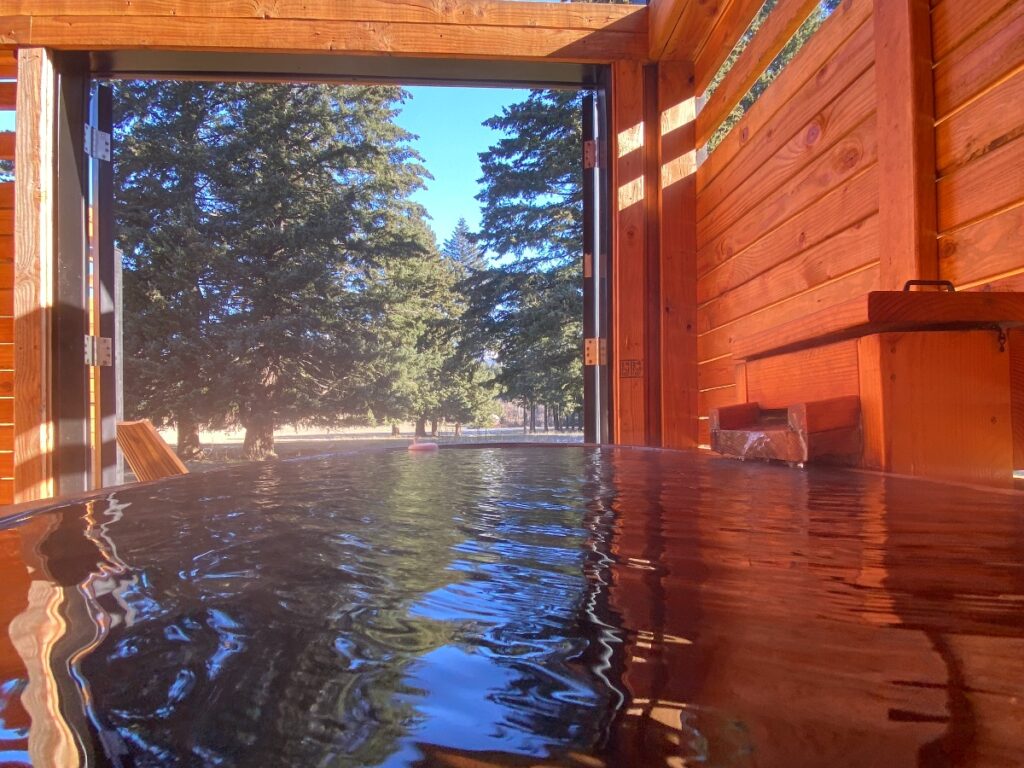 tenzen-8 - junglecity.com