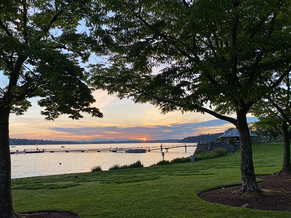 gene -coulon-memorial-park-1 - junglecity.com