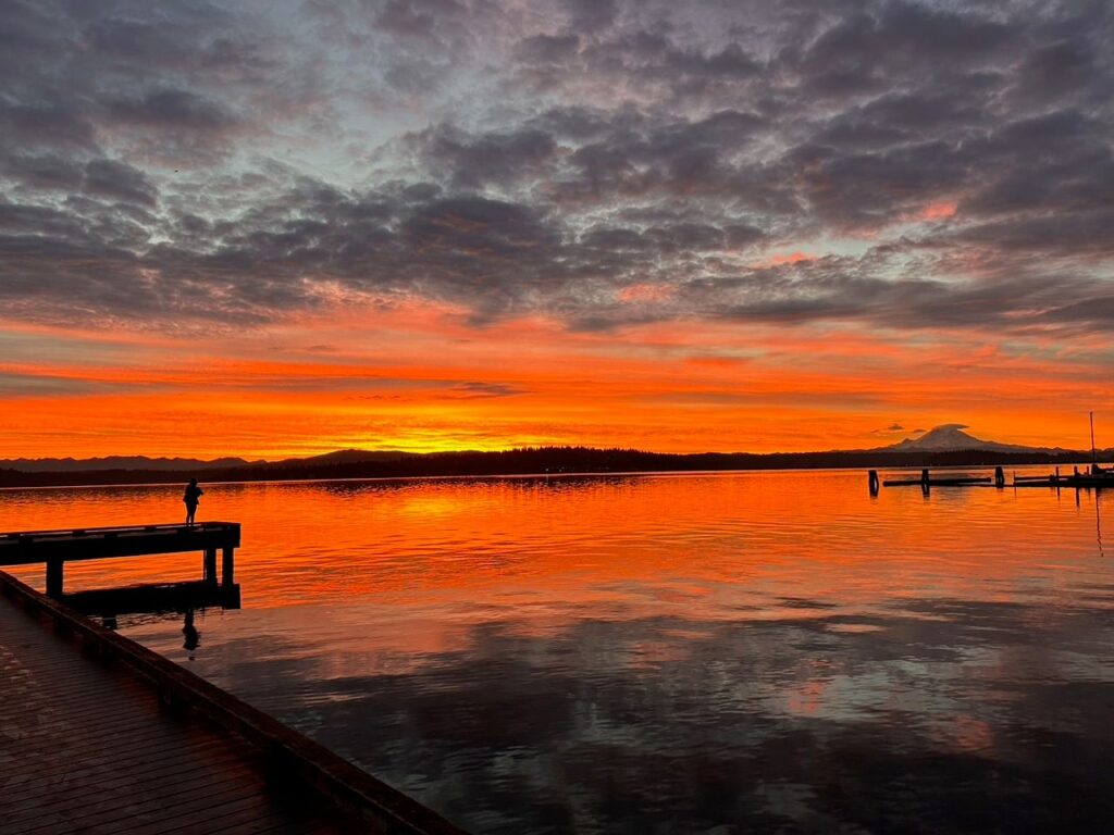 leschi-5 - junglecity.com