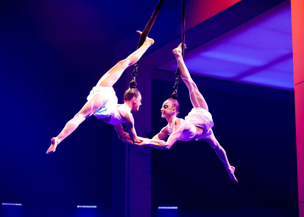 cirque-echo-3 - junglecity.com