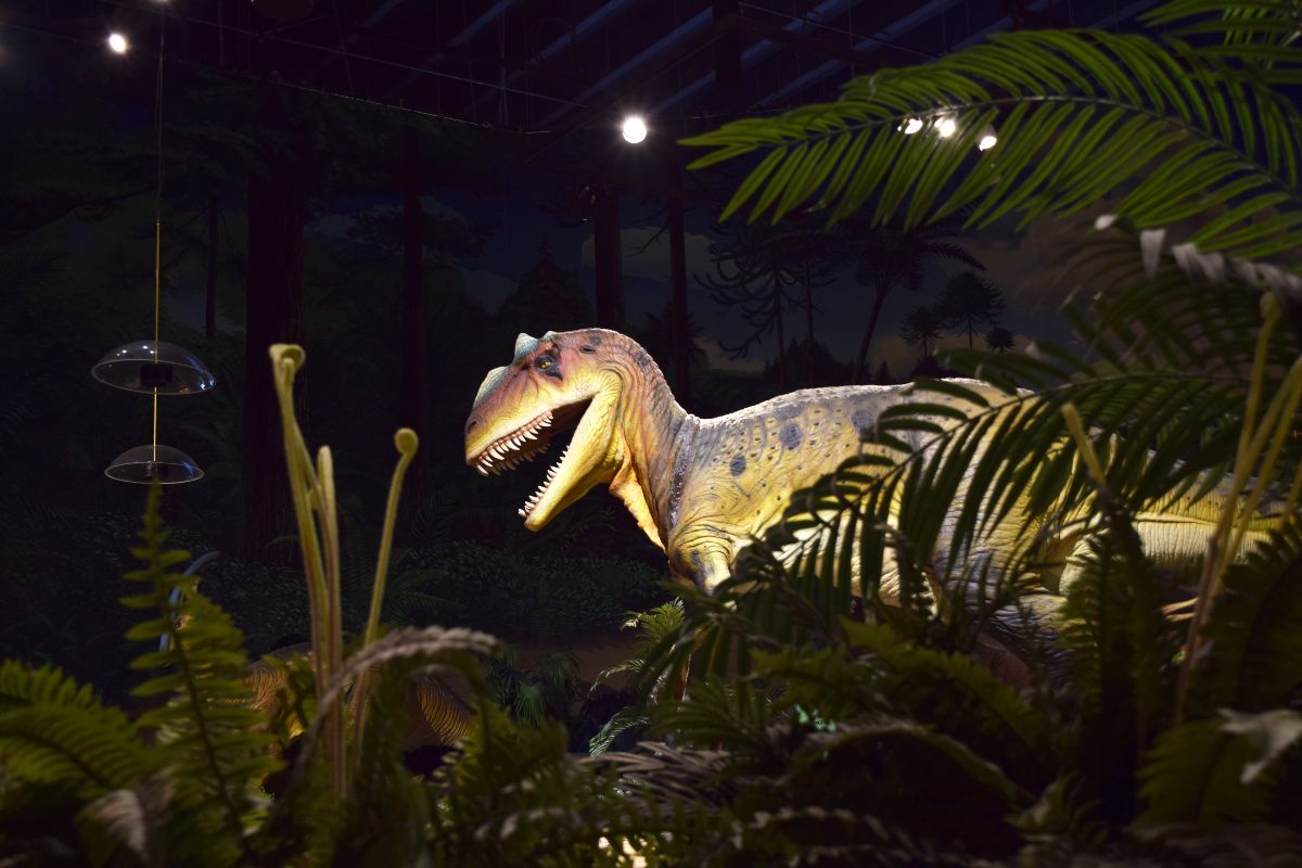 pacific-science-center-1