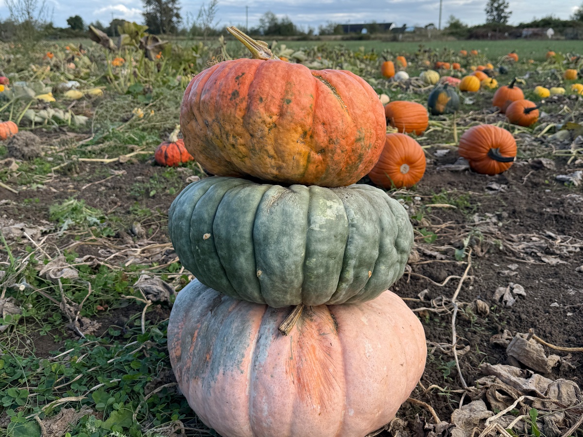 flower-farmer-girls-2