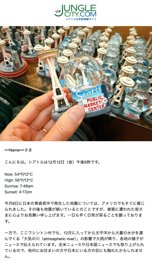 junglecity-12-12-2025