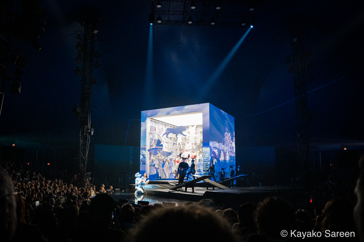 echo-stage-1