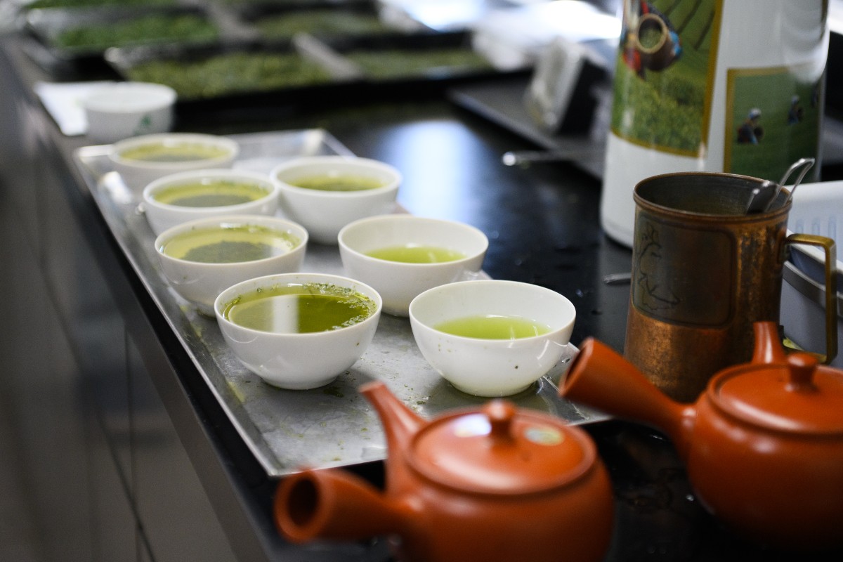 sugimoto-tea-5