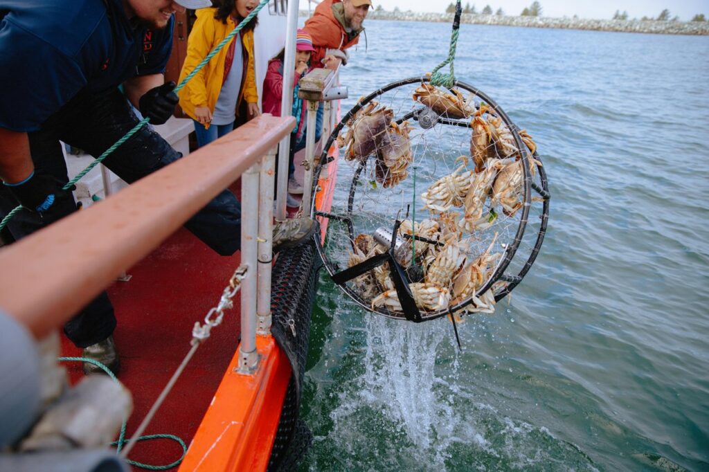 People aboard an orange boat lower a round crab trap filled with crabs into the sea, while others watch from the railing.
