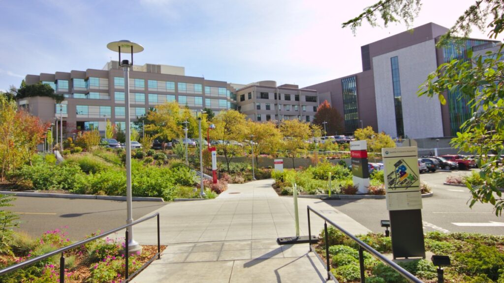 seattle-childrens-1 - junglecity.com Campus walkway leading to a modern medical complex with landscaped gardens and parking area, under a blue sky.