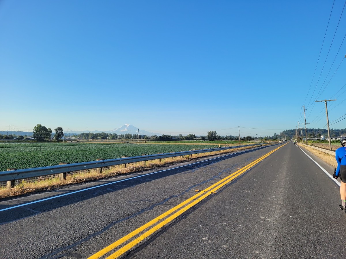 Rural two-lane road with a double yellow line, guardrail on the left, green fields, and a cyclist in blue on the right; distant snow-capped mountain under a clear blue sky.
