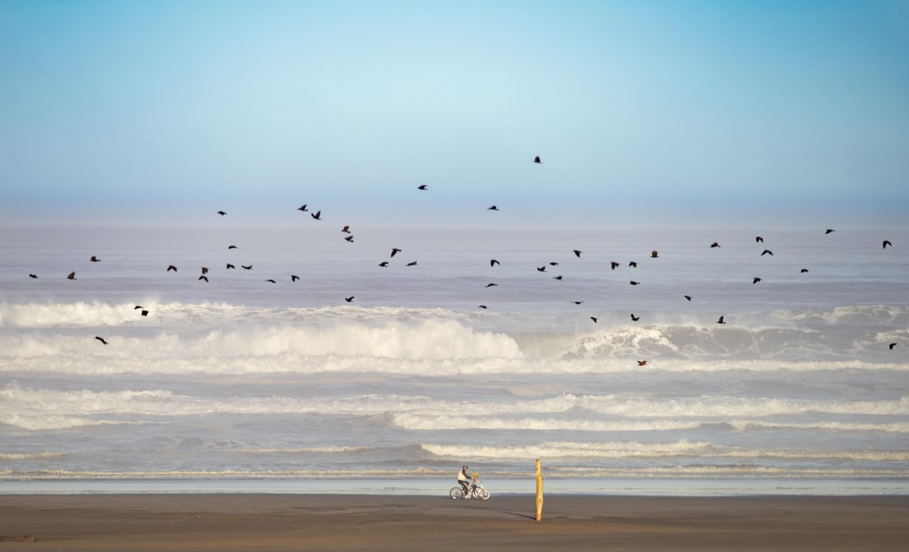 A person riding a bicycle along a wide sandy beach with a tall post nearby and waves crashing in the background, flocking birds overhead.