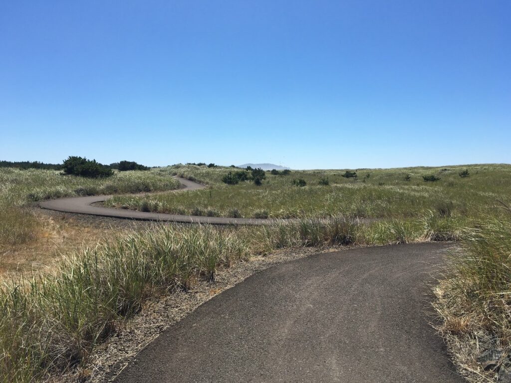 long-beach-7 - junglecity.com Winding paved trail through a grassy, open landscape under a clear blue sky.