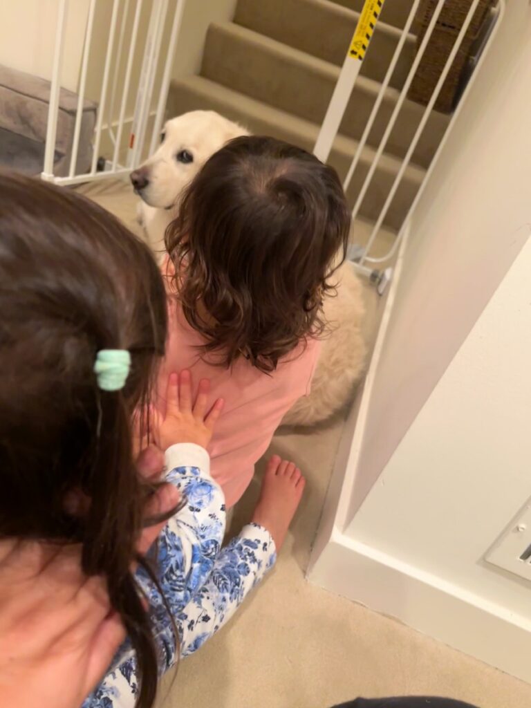 Two young children kneel at a doorway as a white dog sits behind a safety gate near the stairs behind them.