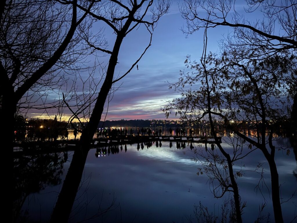 green-lake-40 - junglecity.com Silhouetted trees frame a calm lake at dusk, with a crowded dock and city lights reflecting on the water.