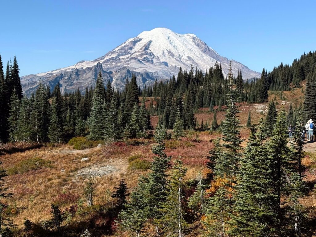 Snow-capped mountain rises above a pine forest with a few hikers on a trail in the distance under a clear blue sky.