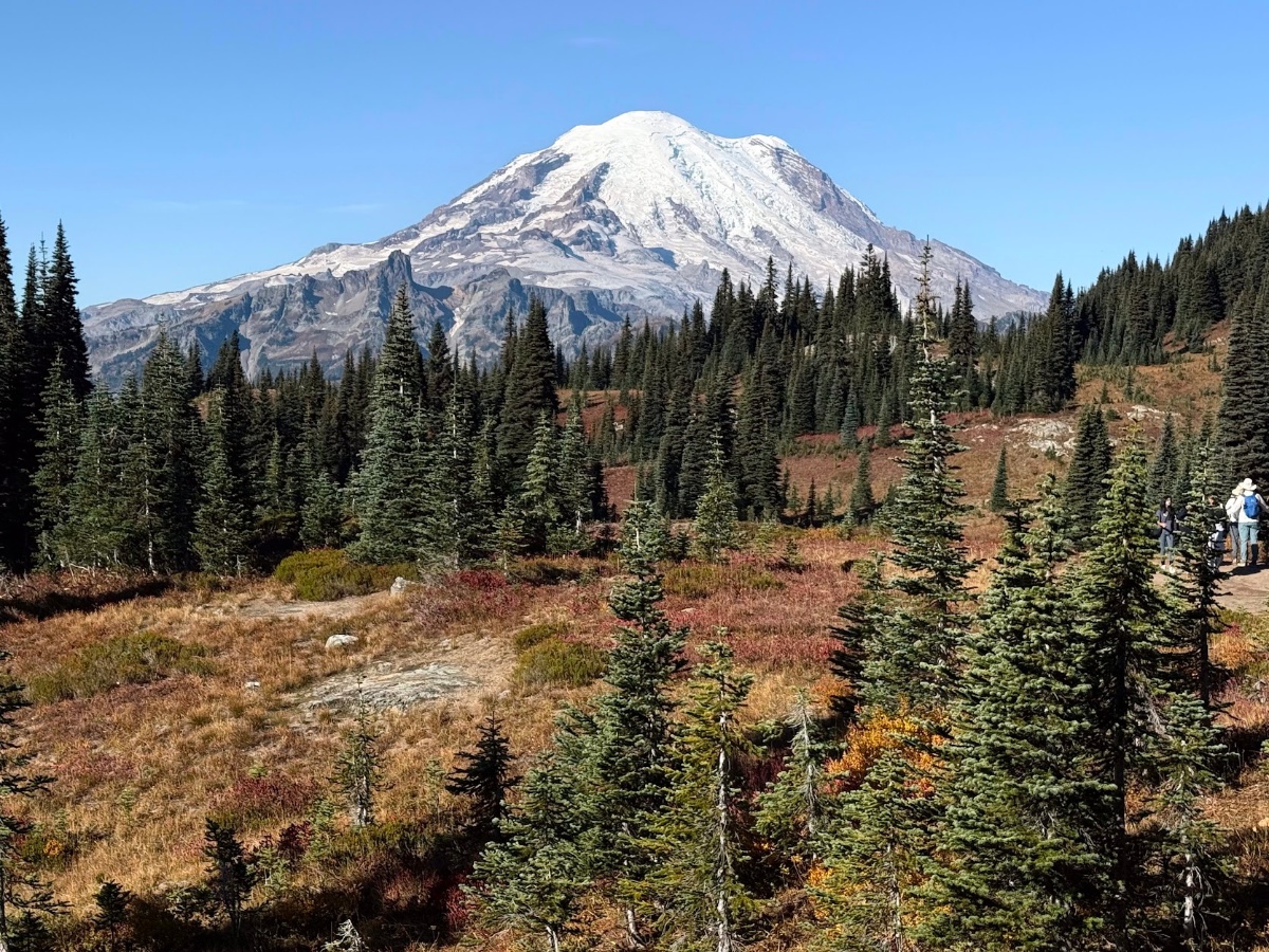 Snow-capped mountain rises above a pine forest with a few hikers on a trail in the distance under a clear blue sky.