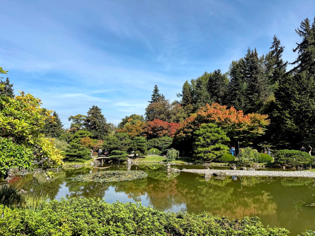 A tranquil Japanese-style garden with a pond, stone bridges, and colorful autumn trees reflecting in the water.